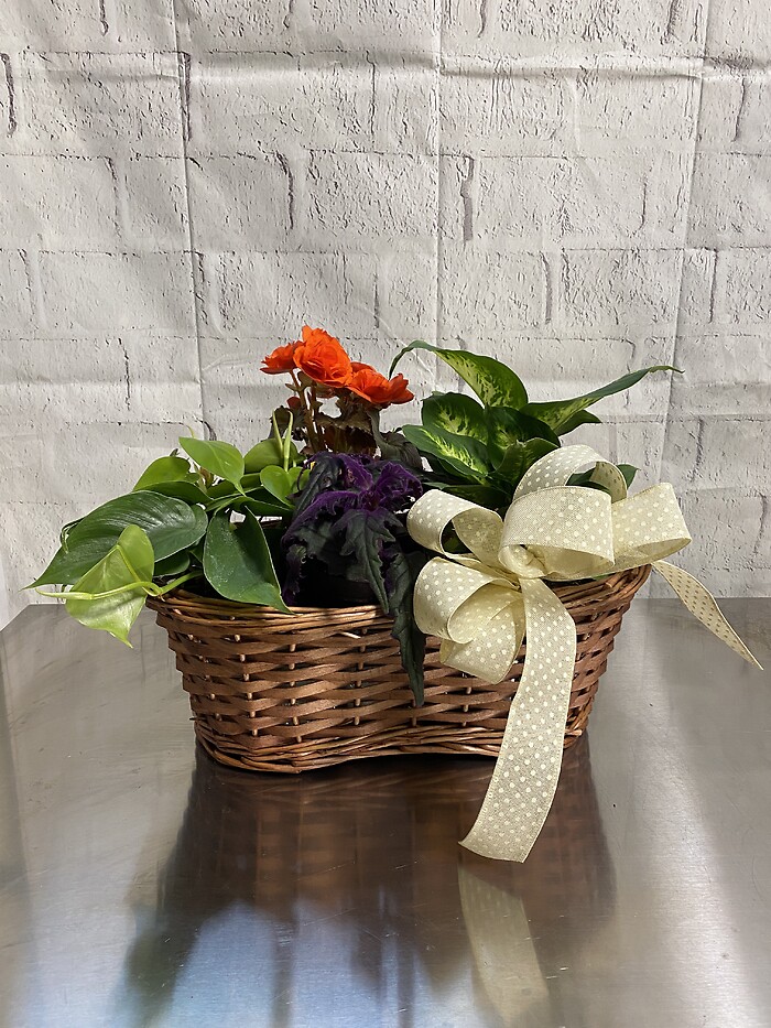 garden basket