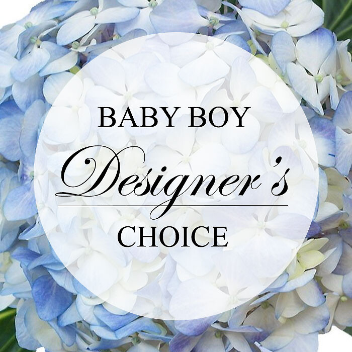 Baby Boy Designer Choice